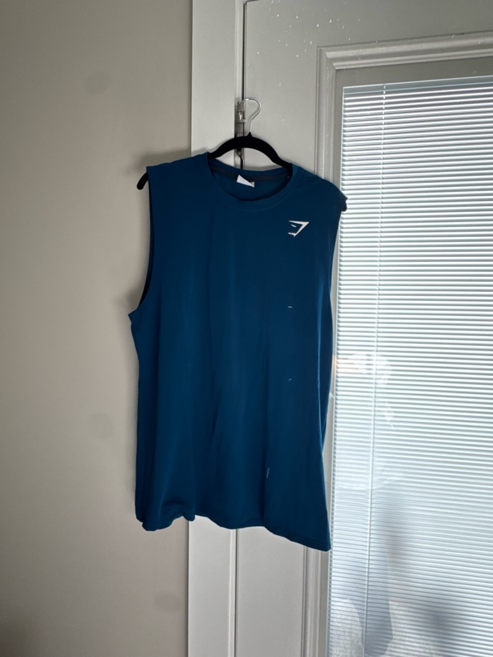 Gymshark Men’s Sleeveless Training Tank — Teal Blue